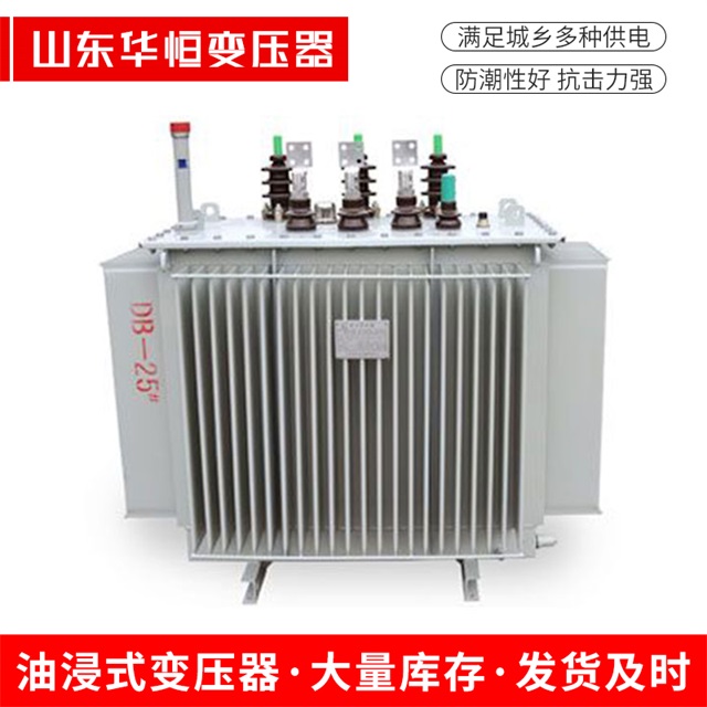 SZ11-10000/35仁和仁和仁和电力变压器