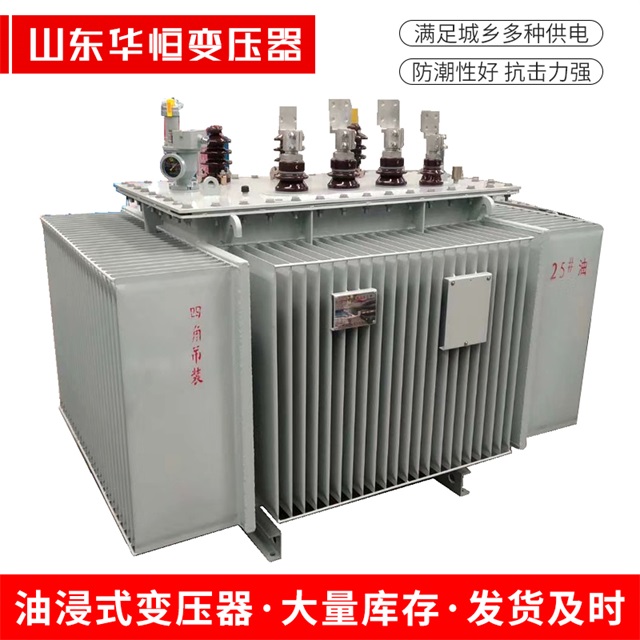 S13-10000/35仁和仁和仁和电力变压器厂家