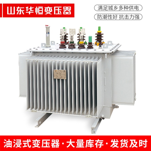 S13-10000/35仁和仁和仁和电力变压器